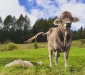 OFFERTA VACANZA FAMILY VALTELLINA